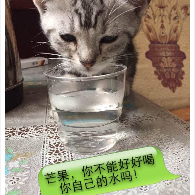 做个精仿默西学院文凭毕业证